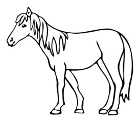 Vector illustration of hand drawn horse. Black and white horse.