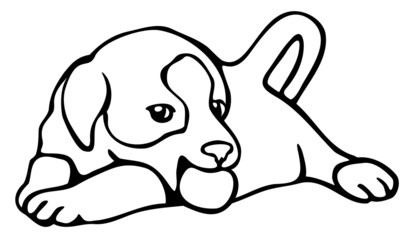 Vector illustration of puppy playing with ball. Cute little puppy.