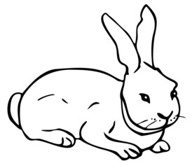 Vector illustration of black and white rabbit. Hand drawn bunny. Design for coloring book.