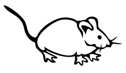 Vector illustration of hand drawn mouse. Black and white mouse.
