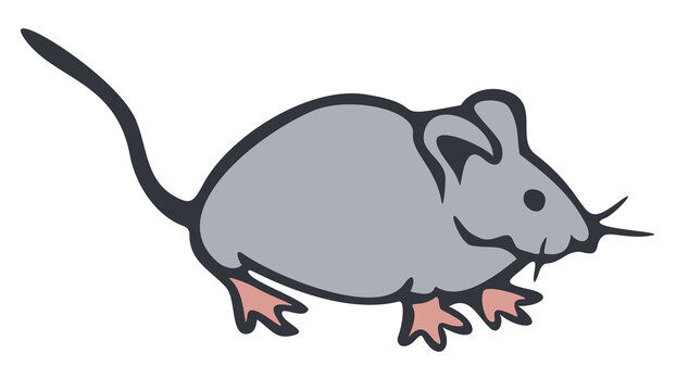 Vector illustration of little mouse. Hand drawn isolated mouse.