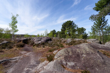 Fototapeta na wymiar The belvederes, Denecourt hiking path 16 in Fontainebleau forest 