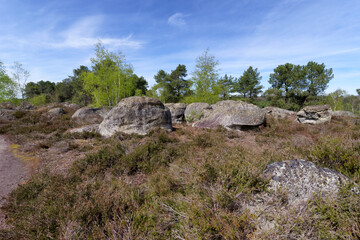 The belvederes, Denecourt  hiking path 16 in Fontainebleau forest 