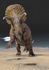 triceratops is standing up on the desert after rain © DM7