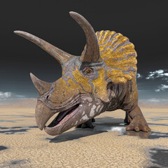 triceratops on the desert after rain © DM7