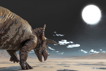 triceratops on the desert walking after rain rear view close up © DM7