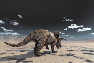 triceratops on the desert walking after rain rear view © DM7