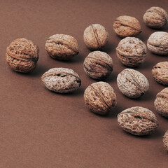 Angle pattern of walnuts on chocolate brown background. Simple square composition.