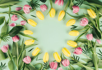 Yellow and pink tulip flowers circular pattern and leaves foliage on light mint background. Flat lay composition with soft light and copy space.