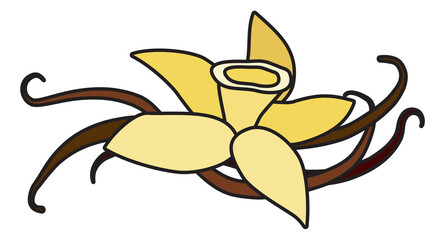 Yellow vanilla orchid flower and pods doodle cartoon style illustration. For menu, farmers market design, cookbook decoration, stickers etc.