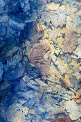abstract view of frozen leaves on the shore of a flooded lake