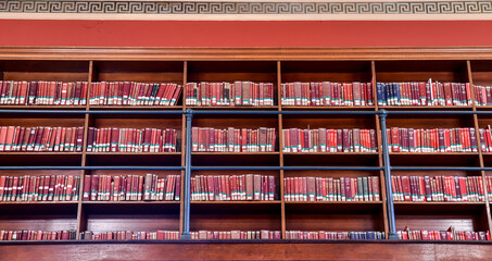 library reading books on the shelf in the public library