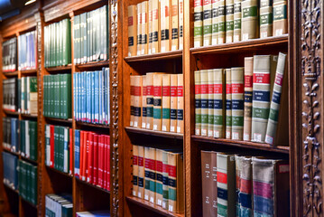 library reading books on the shelf in the public library