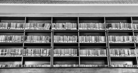 library reading books on the shelf in the public library