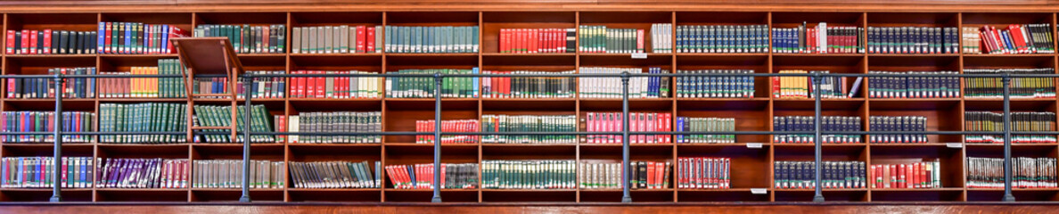 library reading books on the shelf in the public library