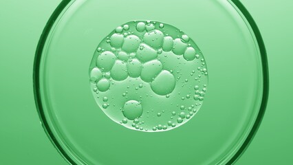 Close-up top view shot of gel with different sized bubbles spread out in petri dish on green background | Abstract skin care formulating concept