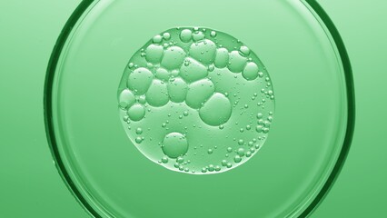 Close-up top view shot of gel with different sized bubbles spread out in petri dish on green...