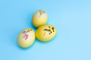 Yellow with a plant pattern of eggs lie on a bright blue background. Painted eggs for Easter