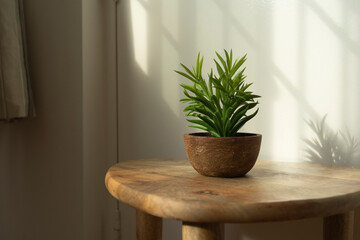Fototapeta premium Pot of plant on a wooden table in a house, with natural sunlight and window grills. Simple, calm and minimal display in the house