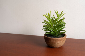Pot of plant on a wooden table in a house. Simple, calm and minimal display in the house