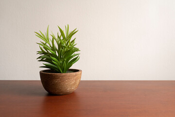 Pot of plant on a wooden table in a house, cafe. Simple, calm and minimal display in the house and decoration