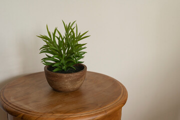 Pot of plant on a circular wooden table in a house. Simple, calm and minimal display in the house. Comfortable home. 