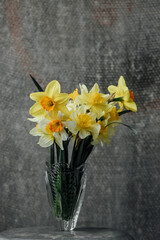 Panoramic grunge background with yellow daffodil flowers. Pattern with a bouquet of daffodils flowers on a dark background. Wide angle web banner mockup with copy space