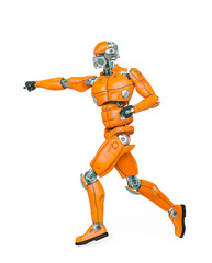 robot test is doing a karate pose