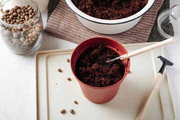 Flower pot with soil for growing plants on a white concrete background