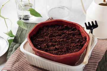Flower pot with soil for growing plants on a white concrete background
