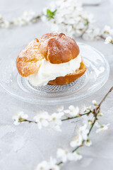 Choux Bun with whipped cream and sugar powder on top on glass plate. Gray background with spring white cherry blossom flowers. Delicate choux pastry dessert. French cream puff