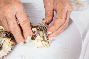 Close up of  the process of breaking down a fresh crab to take out the flesh