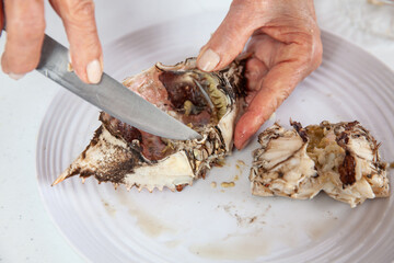Close up of  the process of breaking down a fresh crab to take out the flesh