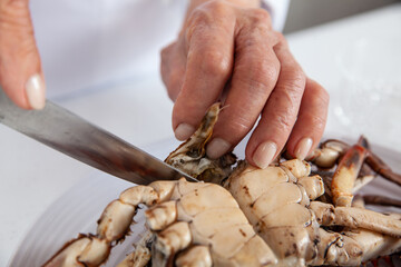 Close up of  the process of breaking down a fresh crab to take out the flesh