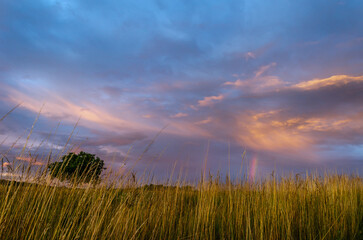 Glowing sky at dusk on a summer evening over a meadow.
