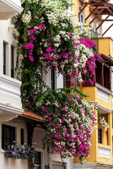 The historic facades at old town known as Casco Viejo in Panama City, Panama., Central America