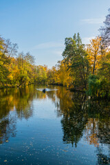 Fototapeta na wymiar Beautiful river. Beautiful landscape. Landscape by the pond