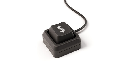 Dollar button of single key computer keyboard, 3D illustration