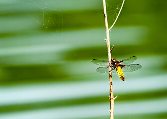 500px Photo ID: 275774117