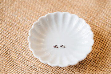 レッドコールラビの種