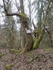 Der Karstwanderweg und der Kaiserweg bei Ellrich