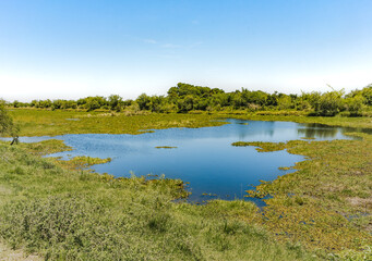 Landscape of the recently opened Ibera Wetlands National Park, Argentina with blue lagoon in a grassland scenery.