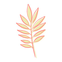 Exotic tropical leaf isolated on white background