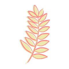 Exotic tropical leaf isolated on white background