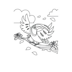 Bird Coloring Pages for Kids