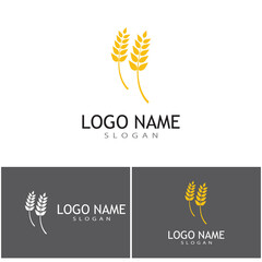 Agriculture wheat vector icon design