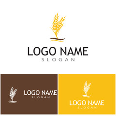 Agriculture wheat vector icon design