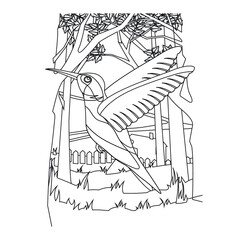 Bird Coloring Pages for Kids