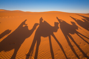 Fototapeta na wymiar shadow of camels in a caravan in the desert 
