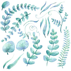 Watercolor collection wih eucalyptus and other leaves for wedding and card design